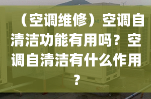 （空調(diào)維修）空調(diào)自清潔功能有用嗎？空調(diào)自清潔有什么作用？