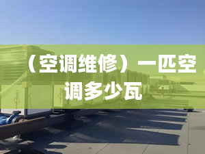 （空調(diào)維修）一匹空調(diào)多少瓦