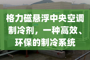 格力磁懸浮中央空調(diào)制冷劑，一種高效、環(huán)保的制冷系統(tǒng)