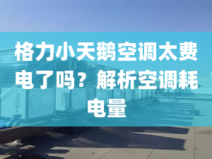 格力小天鵝空調(diào)太費(fèi)電了嗎？解析空調(diào)耗電量