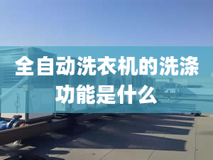 全自動洗衣機的洗滌功能是什么