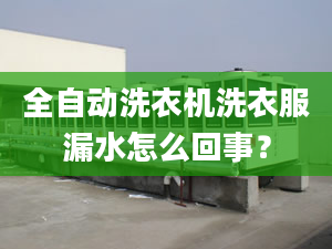 全自動(dòng)洗衣機(jī)洗衣服漏水怎么回事？