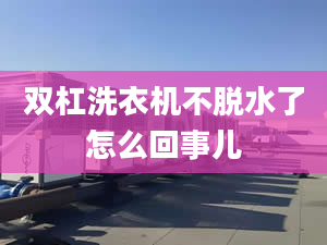 雙杠洗衣機不脫水了怎么回事兒