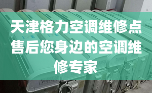 天津格力空調(diào)維修點(diǎn)售后您身邊的空調(diào)維修專家