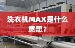 洗衣機(jī)MAX是什么意思？