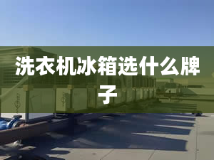 洗衣機(jī)冰箱選什么牌子