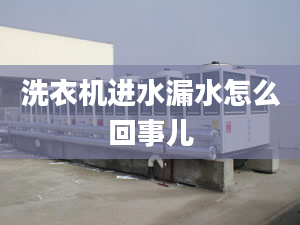 洗衣機(jī)進(jìn)水漏水怎么回事兒