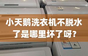 小天鵝洗衣機不脫水了是哪里壞了呀？