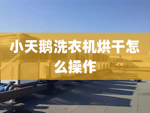 小天鵝洗衣機(jī)烘干怎么操作