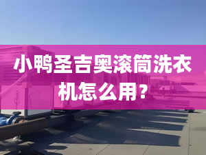 小鴨圣吉奧滾筒洗衣機怎么用？