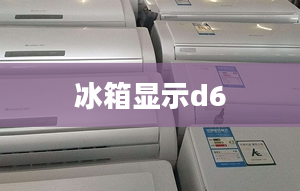 冰箱顯示d6