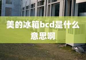 美的冰箱bcd是什么意思啊