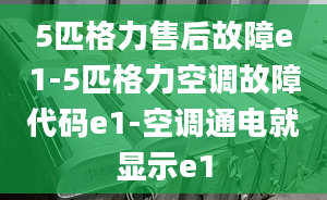 5匹格力售后故障e1-5匹格力空調(diào)故障代碼e1-空調(diào)通電就顯示e1