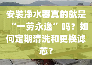 安裝凈水器真的就是“一勞永逸”嗎？如何定期清洗和更換濾芯？