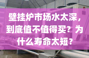 壁掛爐市場(chǎng)水太深，到底值不值得買？為什么壽命太短？