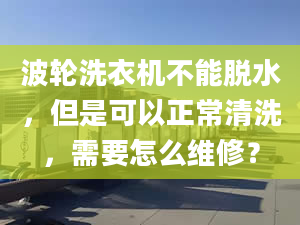 波輪洗衣機不能脫水，但是可以正常清洗，需要怎么維修？