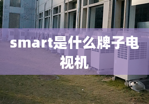 smart是什么牌子電視機