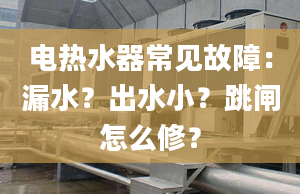 電熱水器常見故障：漏水？出水??？跳閘怎么修？