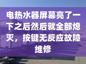 電熱水器屏幕亮了一下之后然后就全部熄滅，按鍵無(wú)反應(yīng)故障維修