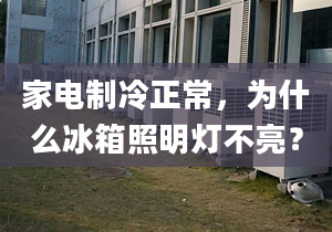 家電制冷正常，為什么冰箱照明燈不亮？