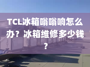 TCL冰箱嗡嗡響怎么辦？冰箱維修多少錢？