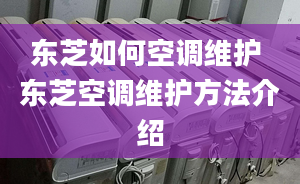 東芝如何空調(diào)維護 東芝空調(diào)維護方法介紹