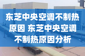 東芝中央空調(diào)不制熱原因 東芝中央空調(diào)不制熱原因分析