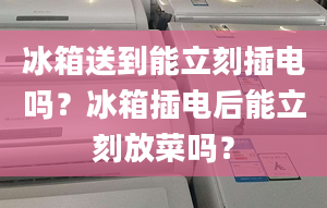 冰箱送到能立刻插電嗎？冰箱插電后能立刻放菜嗎？