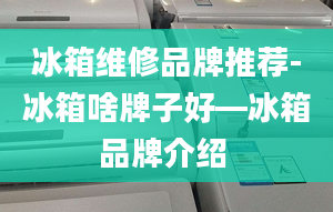 冰箱維修品牌推薦-冰箱啥牌子好—冰箱品牌介紹 