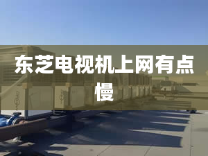 東芝電視機(jī)上網(wǎng)有點慢