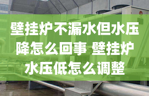 壁掛爐不漏水但水壓降怎么回事 壁掛爐水壓低怎么調(diào)整