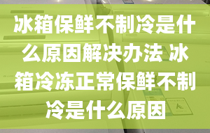 冰箱保鮮不制冷是什么原因解決辦法 冰箱冷凍正常保鮮不制冷是什么原因