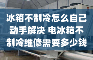 冰箱不制冷怎么自己動(dòng)手解決 電冰箱不制冷維修需要多少錢