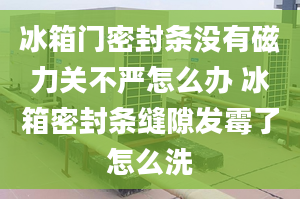 冰箱門密封條沒有磁力關(guān)不嚴(yán)怎么辦 冰箱密封條縫隙發(fā)霉了怎么洗