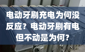 電動(dòng)牙刷充電為何沒反應(yīng)？電動(dòng)牙刷有電但不動(dòng)是為何？