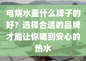 電燒水壺什么牌子的好？選擇合適的品牌才能讓你喝到安心的熱水