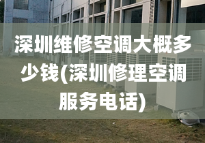 深圳維修空調(diào)大概多少錢(qián)(深圳修理空調(diào)服務(wù)電話)