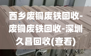 西鄉(xiāng)廢銅廢鐵回收-廢銅廢鐵回收-深圳久昌回收(查看)