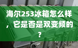 海爾253冰箱怎么樣，它是否是雙變頻的？