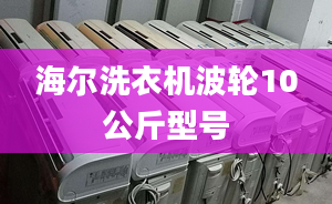 海爾洗衣機波輪10公斤型號