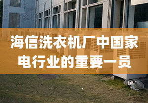 海信洗衣機(jī)廠中國(guó)家電行業(yè)的重要一員