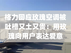 格力回應玫瑰空調被吐槽又土又貴：用玫瑰向用戶表達愛意