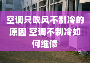 空調(diào)只吹風(fēng)不制冷的原因 空調(diào)不制冷如何維修