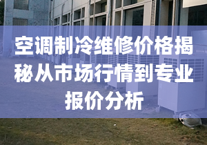 空調(diào)制冷維修價(jià)格揭秘從市場(chǎng)行情到專業(yè)報(bào)價(jià)分析